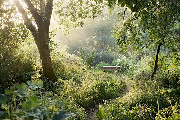 Jardin